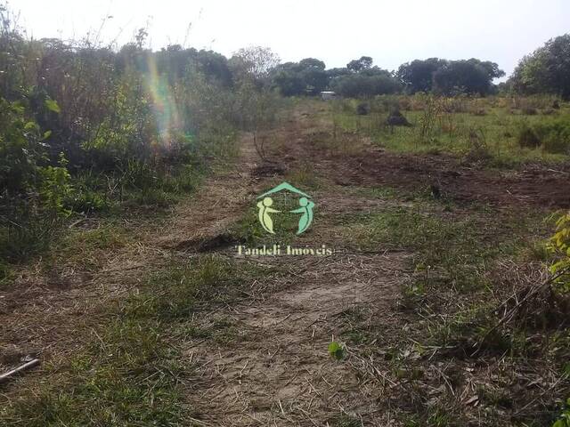 #004239 - Fazenda para Venda em São Félix do Araguaia - MT - 3