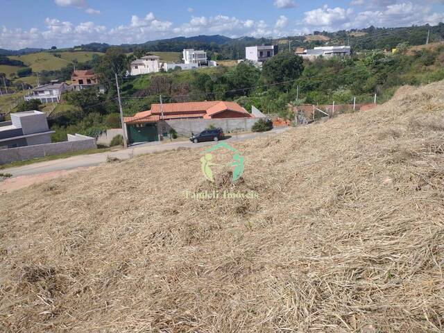 #006600 - Terreno para Venda em Pinhalzinho - SP - 3