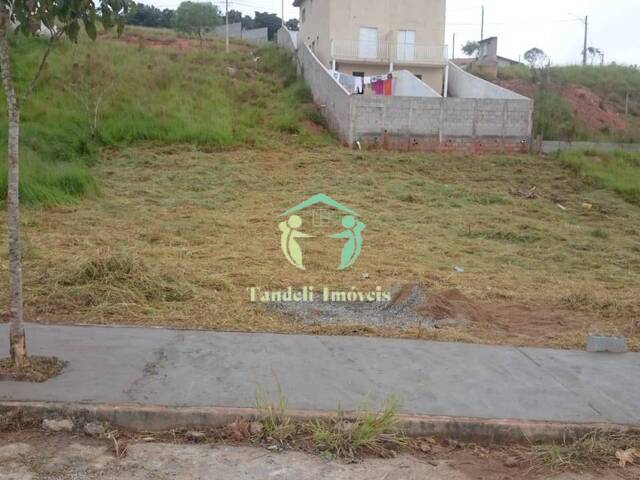 #007679 - Terreno para Venda em Pinhalzinho - SP - 3