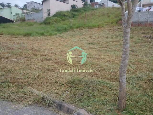 #007679 - Terreno para Venda em Pinhalzinho - SP - 2