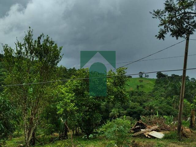 #008357 - Chácara para Venda em Juruaia - MG - 3