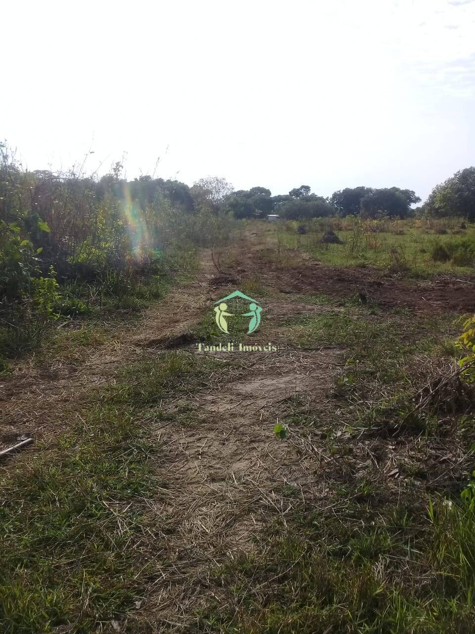 Terreno, 257 m² - Foto 3