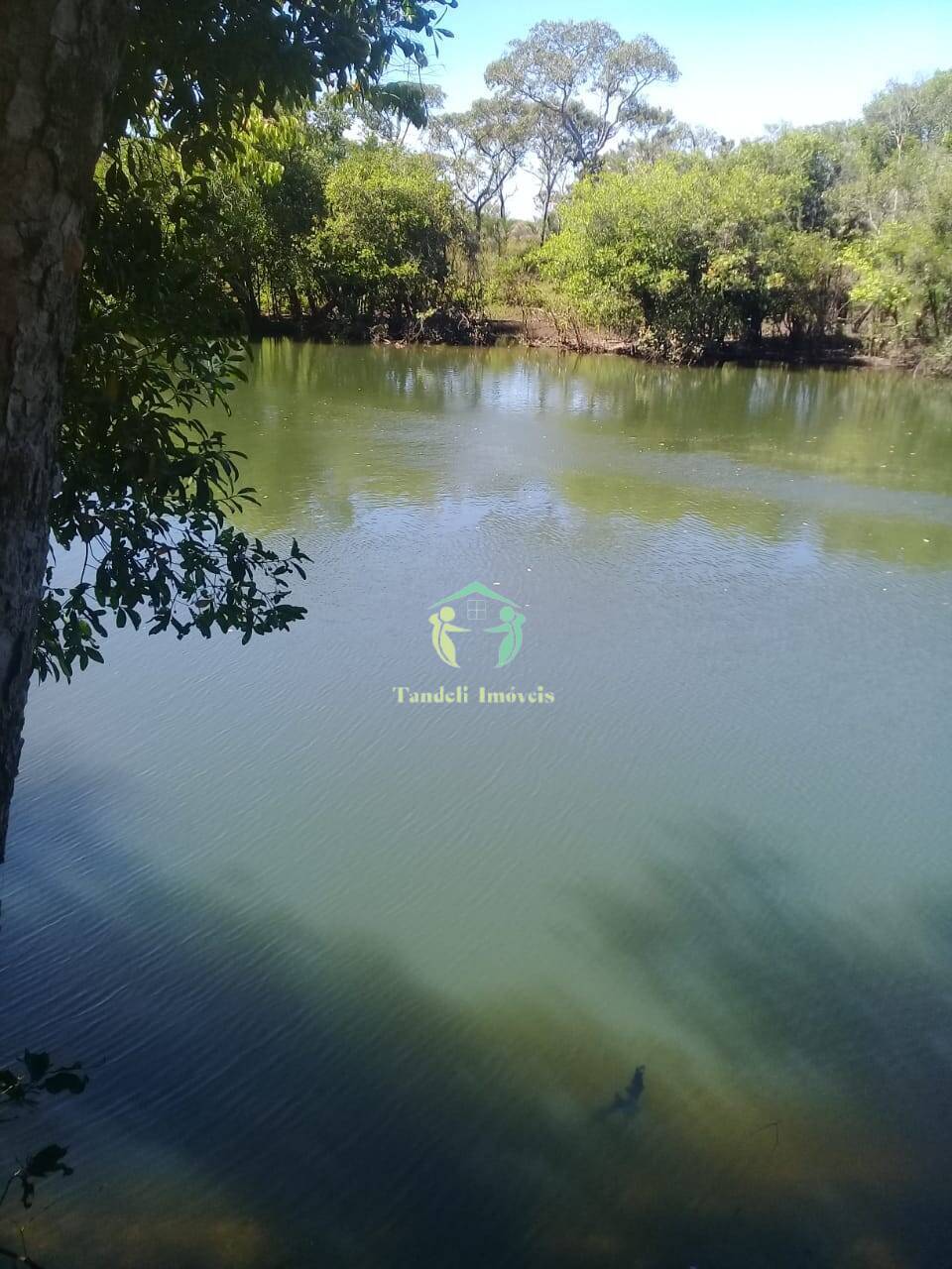 Terreno, 257 m² - Foto 6