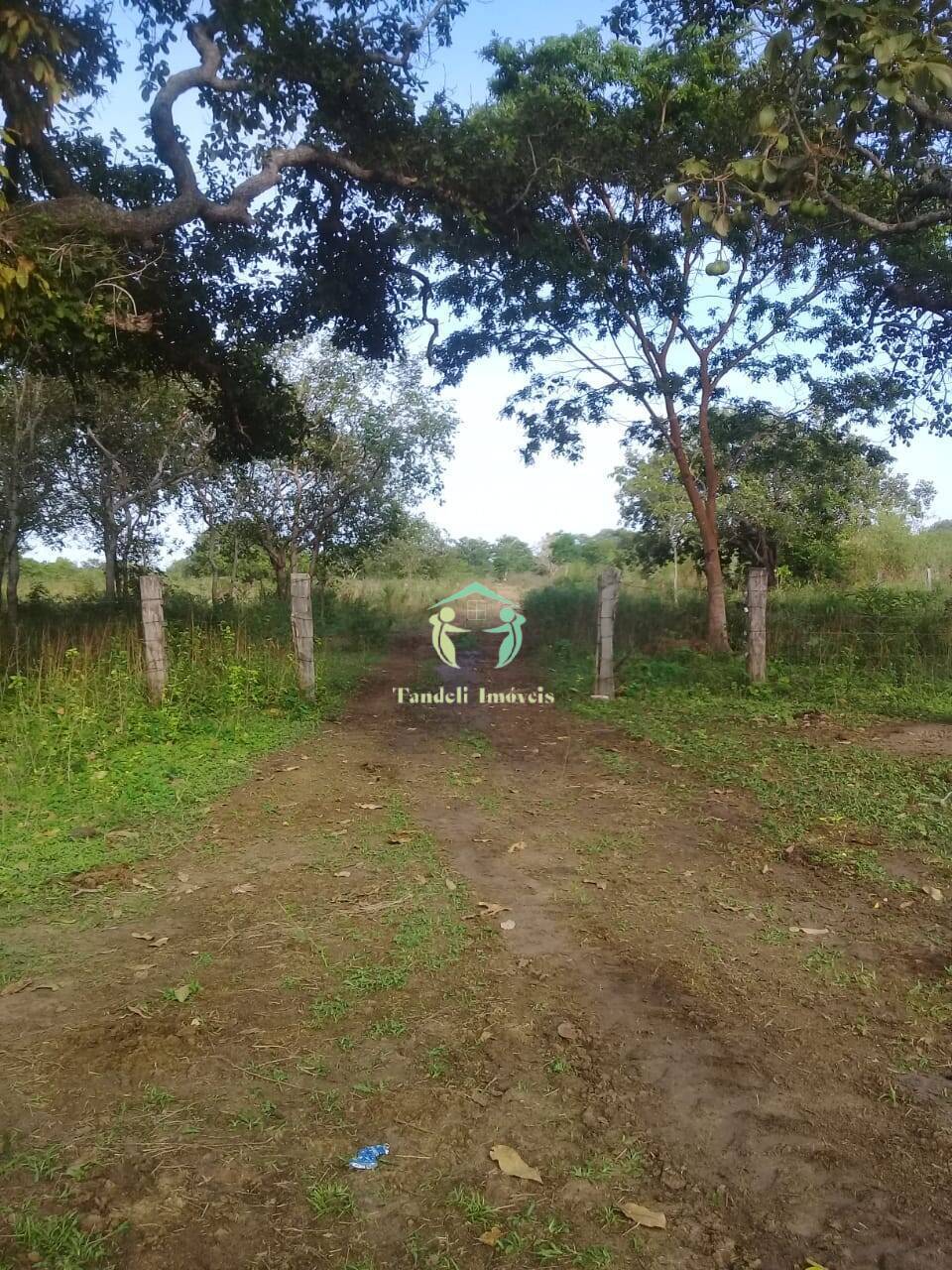 Terreno, 257 m² - Foto 7