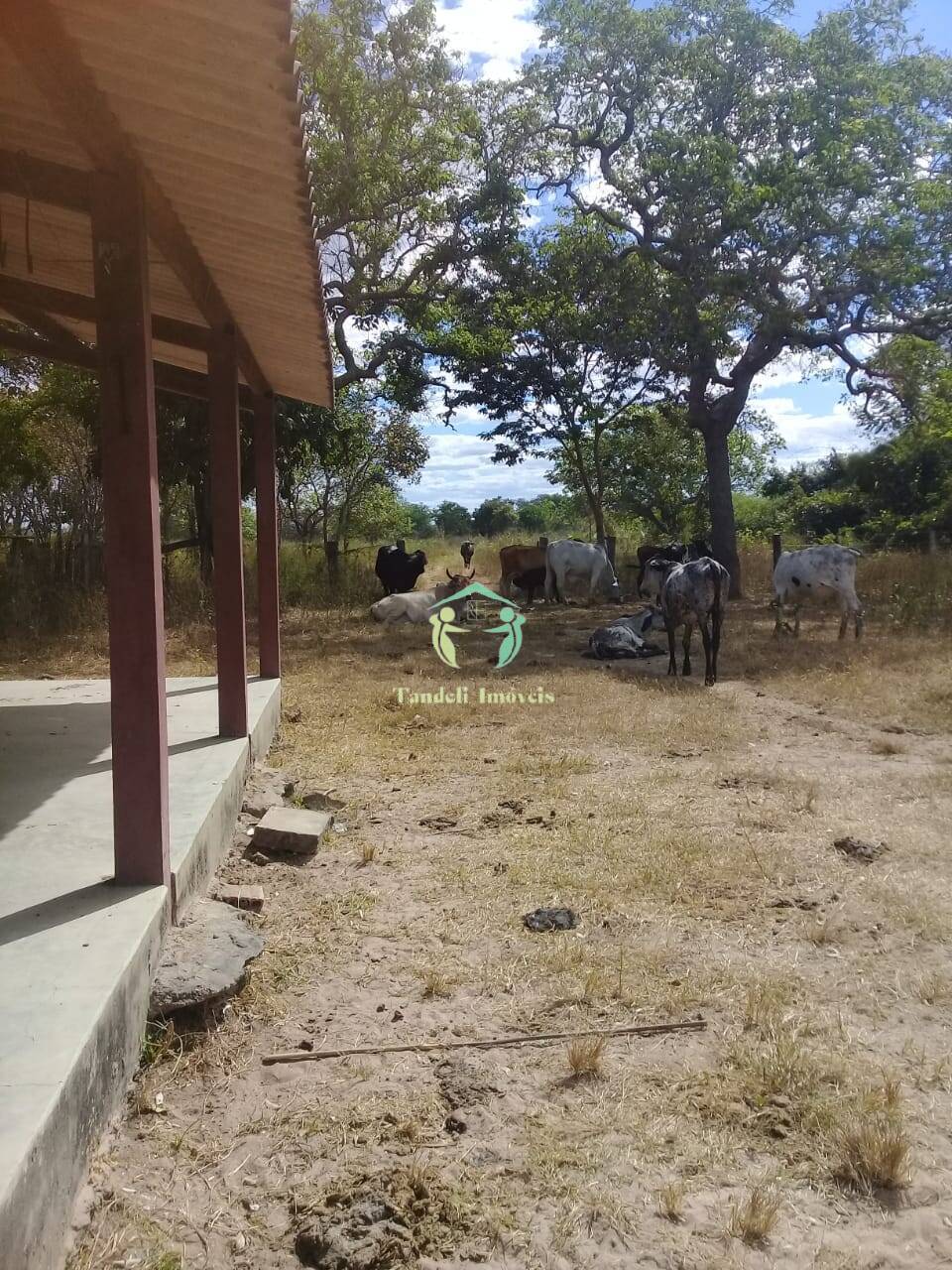 Terreno, 257 m² - Foto 9