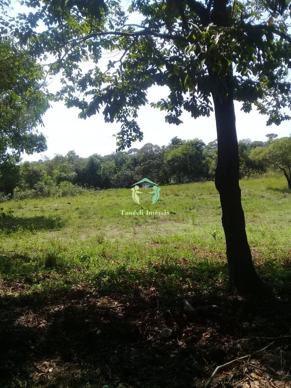 Terreno, 257 m² - Foto 8