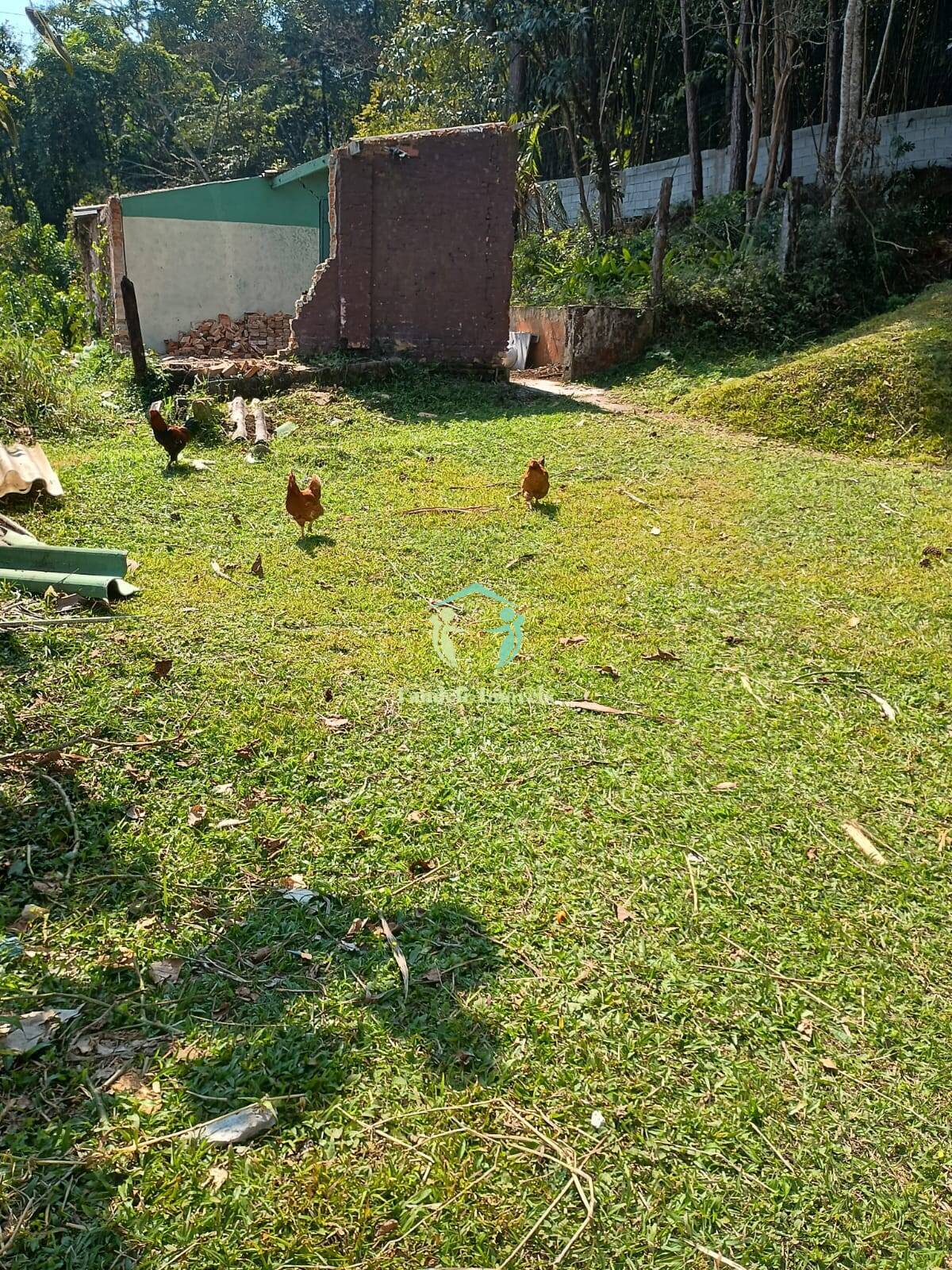 Terreno, 300 m² - Foto 2