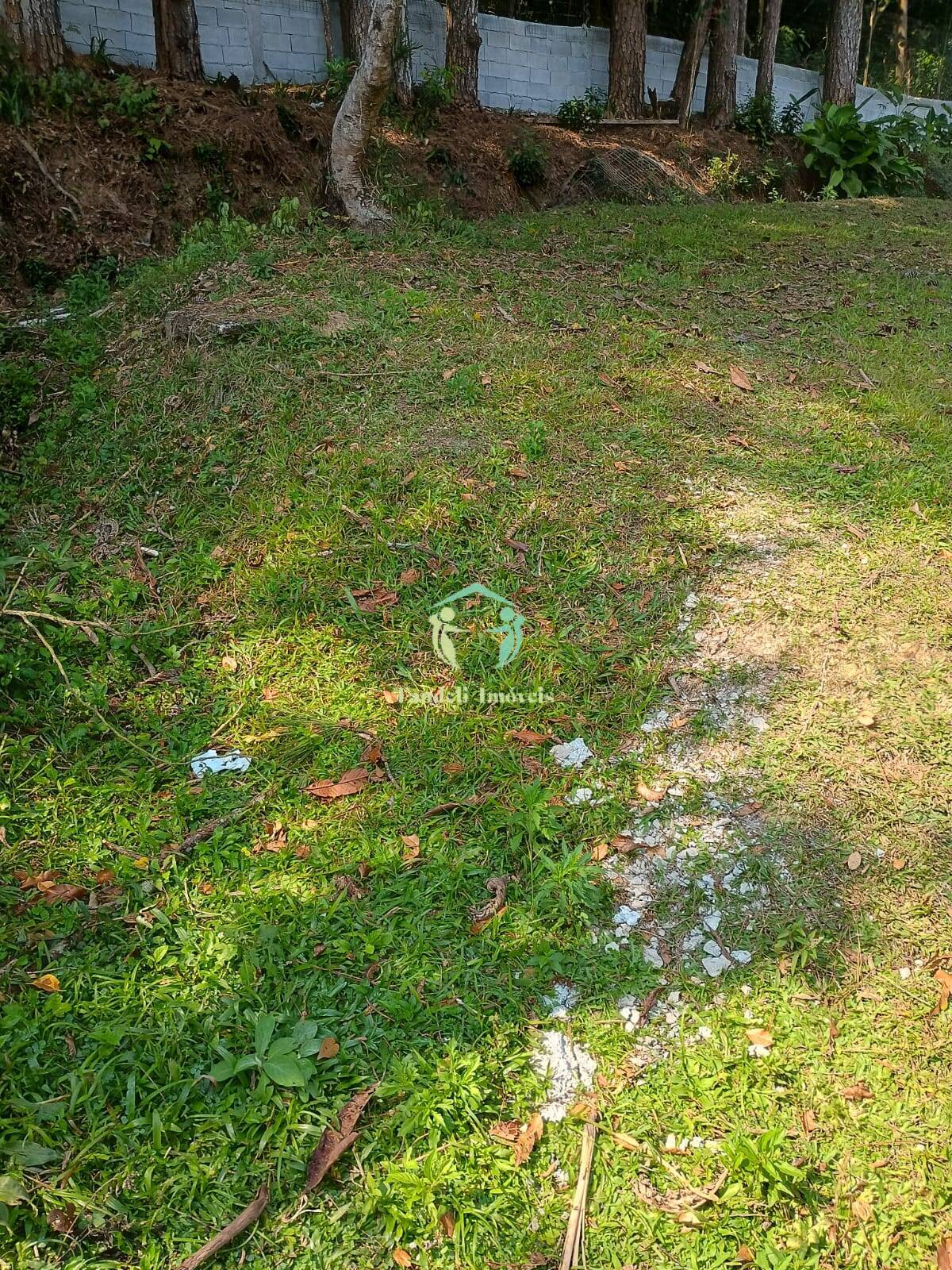 Terreno, 300 m² - Foto 4