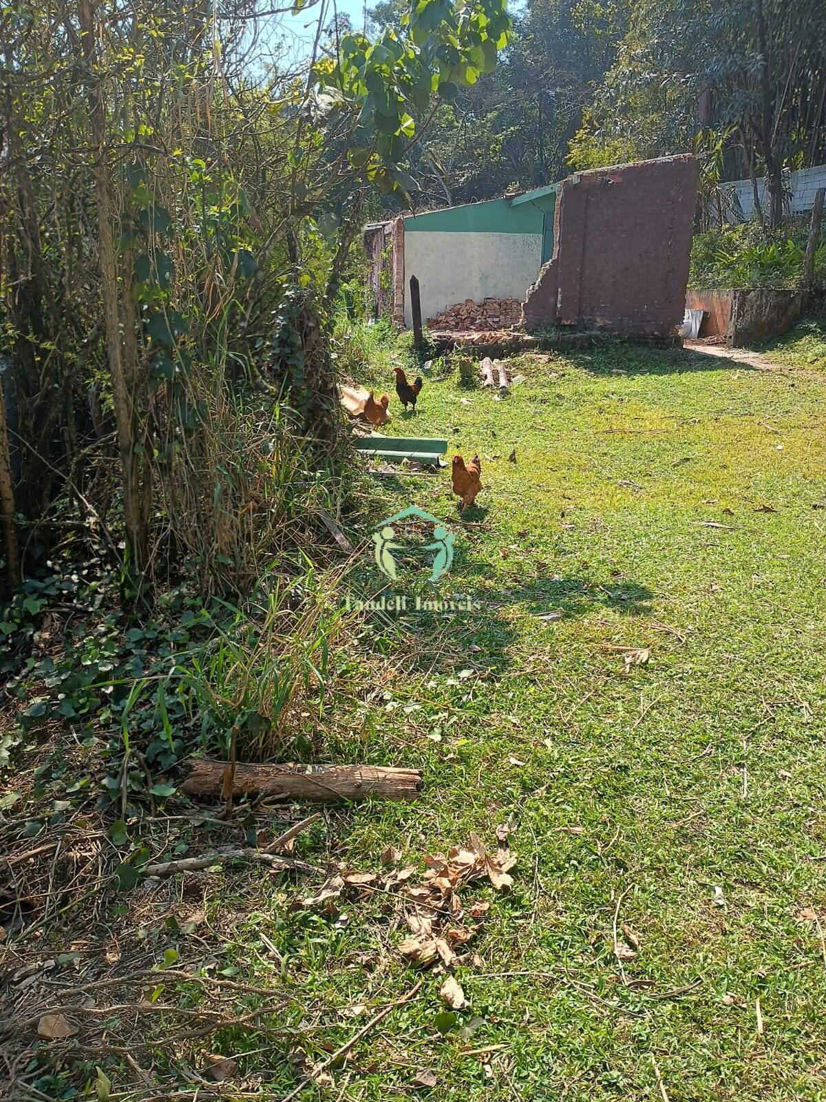 Terreno, 300 m² - Foto 1