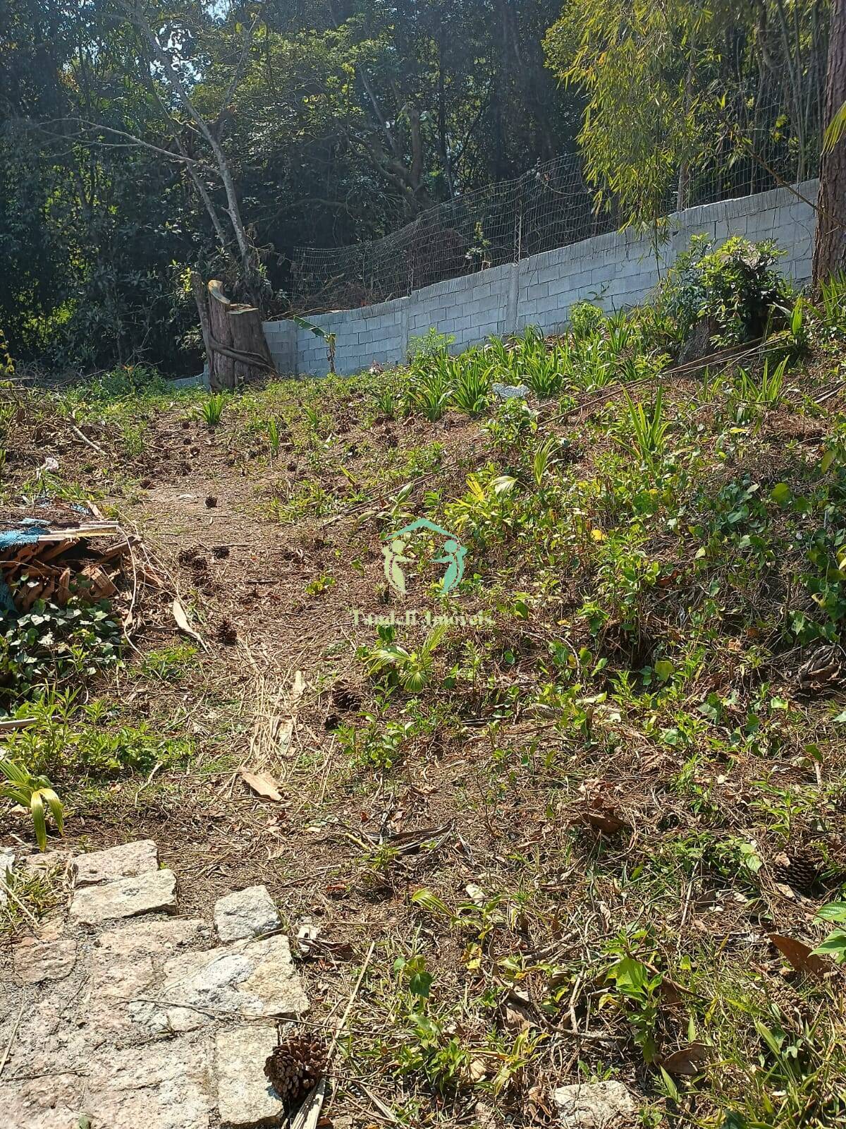 Terreno, 300 m² - Foto 5