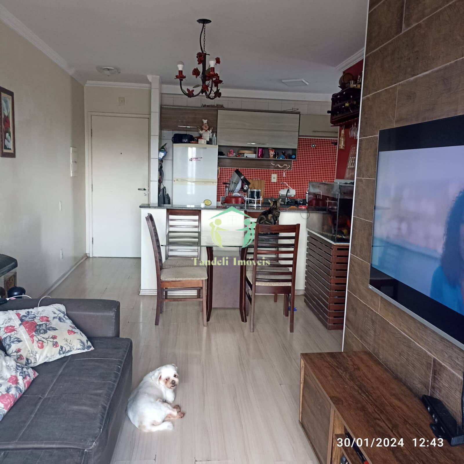 Apartamento, 3 quartos, 63 m² - Foto 3