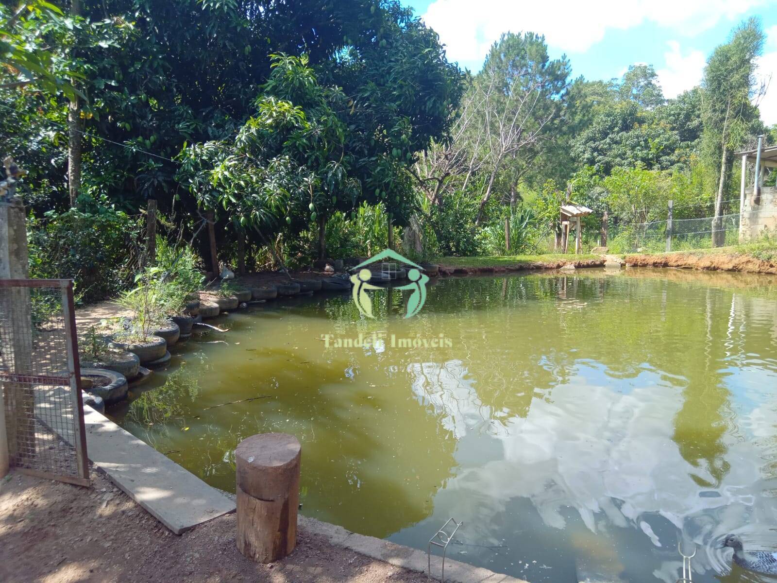 Chácara, 2 quartos, 2 hectares - Foto 3