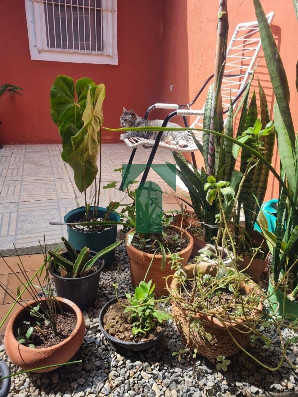 Casa, 2 quartos, 193 m² - Foto 9