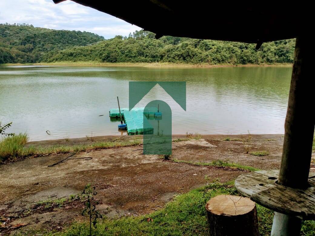 Chácara, 4 quartos, 1000 m² - Foto 6